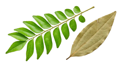 Decorative Spice